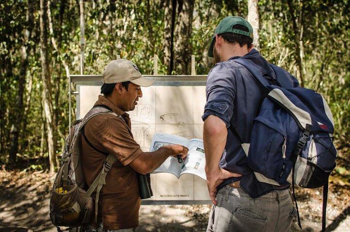 Excursão pela cidade maia antiga de Calakmul - de Campeche