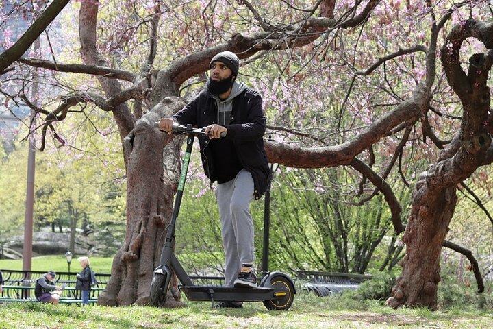 Central Park Electric Scooter Rentals