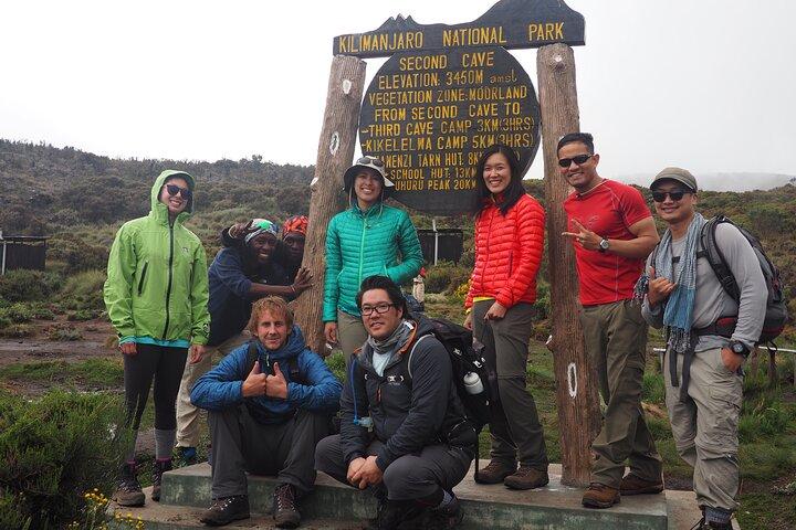 Escalada Kilimanjaro - ruta Lemosho