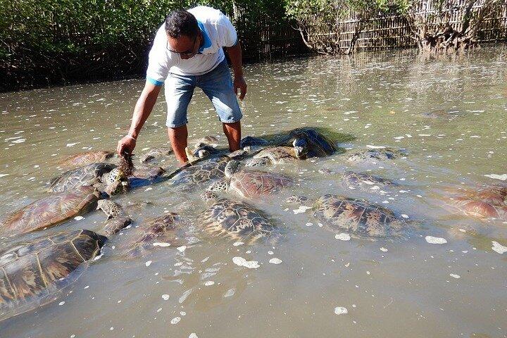 Indonesia: sport acquatici Tanjung Benoa di Bintang