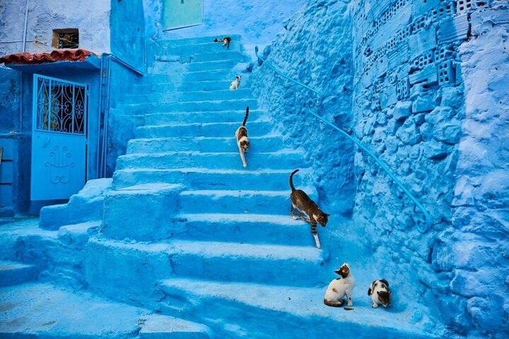 Dagtrip naar Chefchaouen vanuit Sevilla