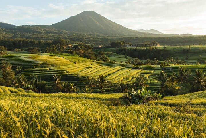 Bali Charm: tour de Bedugul y Tanah Lot de día completo (UNESCO) - Entradas con todo incluido