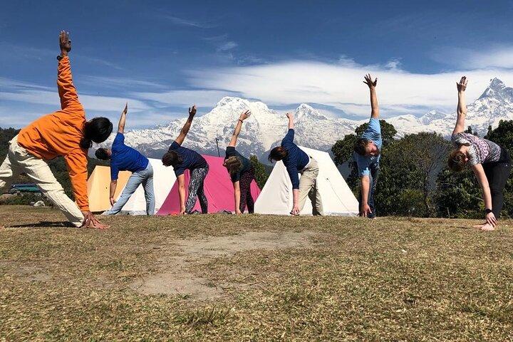 200 ore di formazione per insegnanti di yoga Yoga Alliance