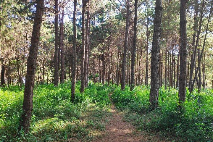 Manila ATV Mountain Trail Adventure(with Transfers***)