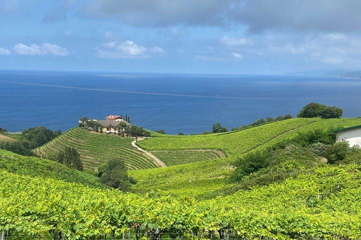 Excursão particular pela costa de San Sebastián com degustação de vinho Txakoli – Dia inteiro