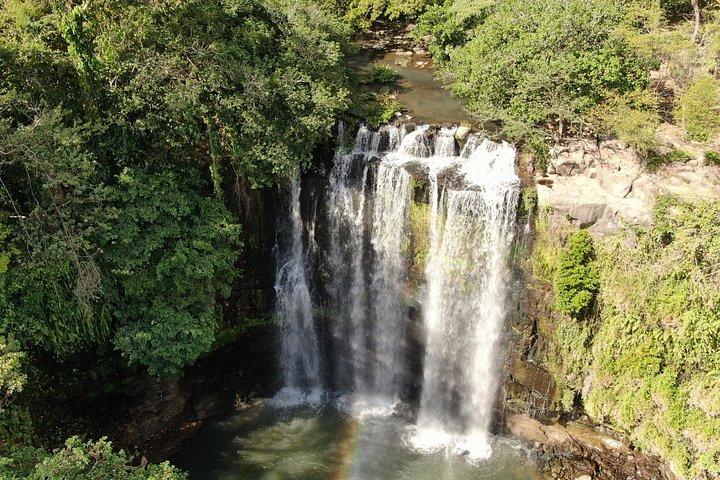 テノリオ熱帯雨林の吊り橋、滝とナマケモノとの出会い