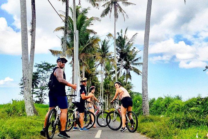 Ubud Wunderschöne Halbtages Downhill-Radtour mit Mittagessen