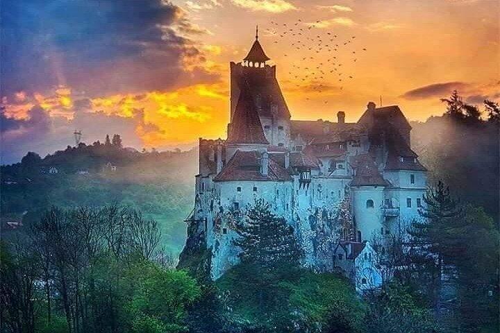 Castelo de Bran, Fortaleza Rasnov, Harman & Prejmer Fortified Churches Day Tour