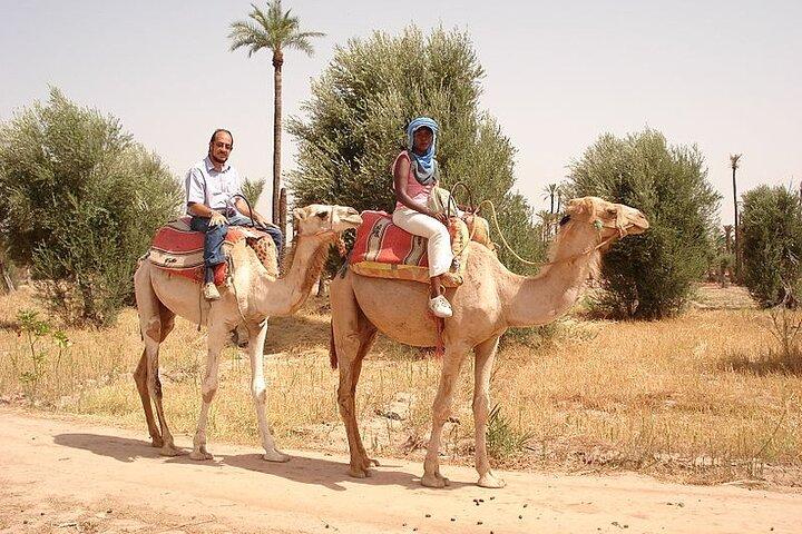Marrakech Palmeraie Tour met 1 uur kameeltocht