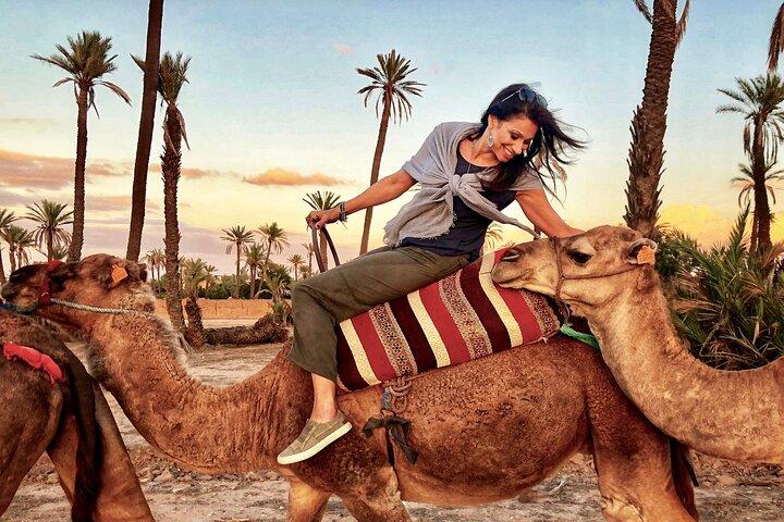 Marrakech Palmeraie Tour met 1 uur kameeltocht