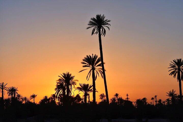 Marrakech Palmeraie Tour met 1 uur kameeltocht