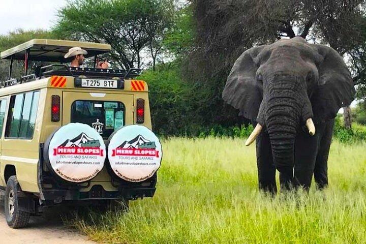 5 días de campamento en Tarangire, Serengeti y cráter de Ngorongoro y visita a Maasai