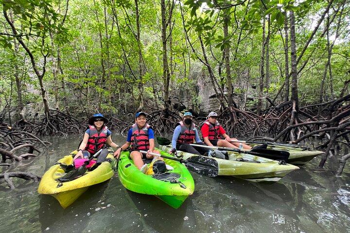 Halvdags mangrovekajak i Langkawi