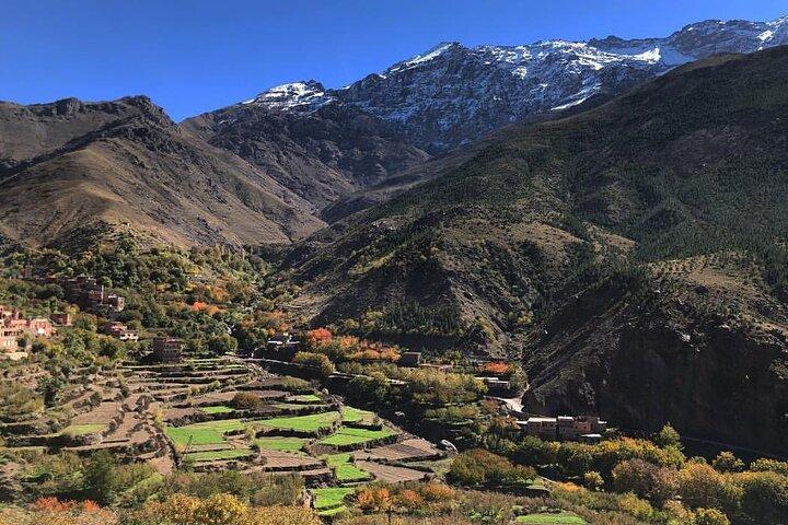 Private Full-Day Tour of Agafay Desert and Atlas Mountains