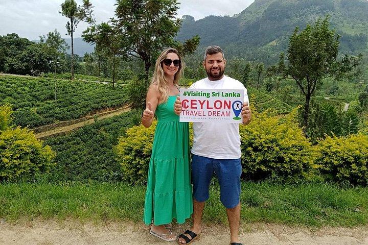 One Day Experience at Nuwara Eliya from Kandy