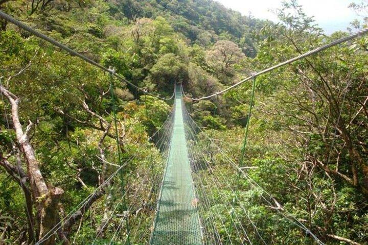 ツアー 3 で 1 火山温泉 + 泥風呂 + リバー フローティング ツアー