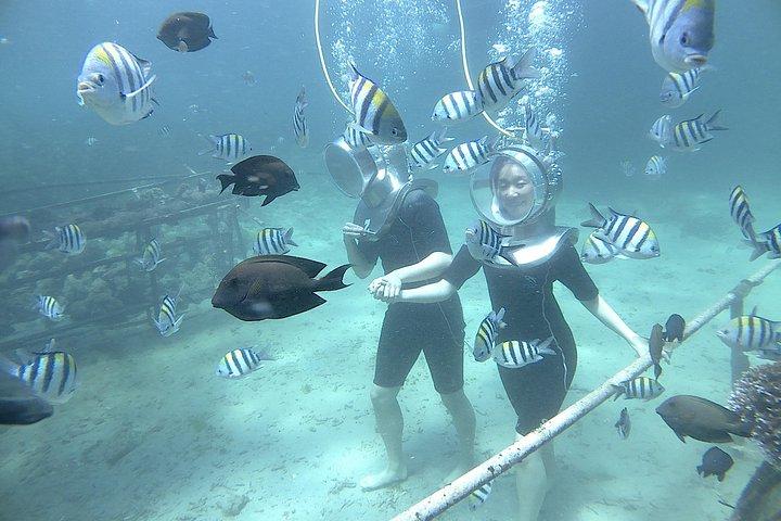 Bali Sea Walker Experience
