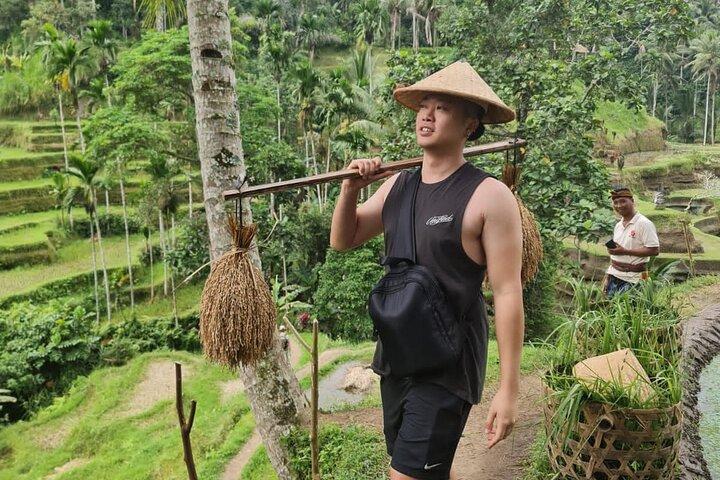 Wunderbare 3 Tage Bali Private Guided Tour All Inclusive