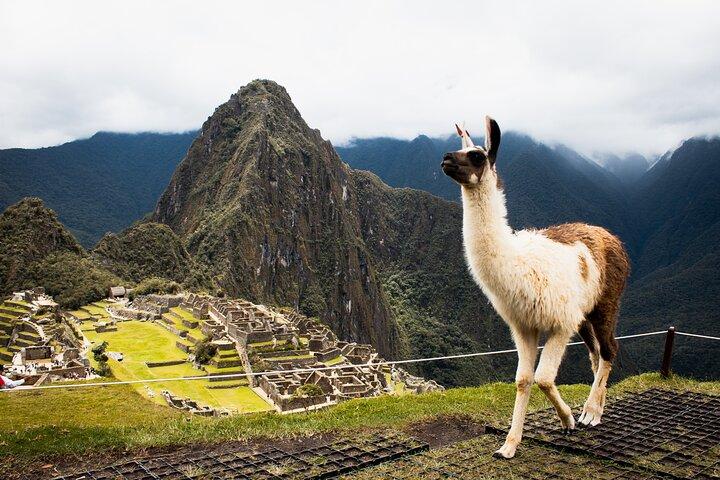 Machu Picchu Tour di un'intera giornata in treno da Cusco - Piccolo gruppo