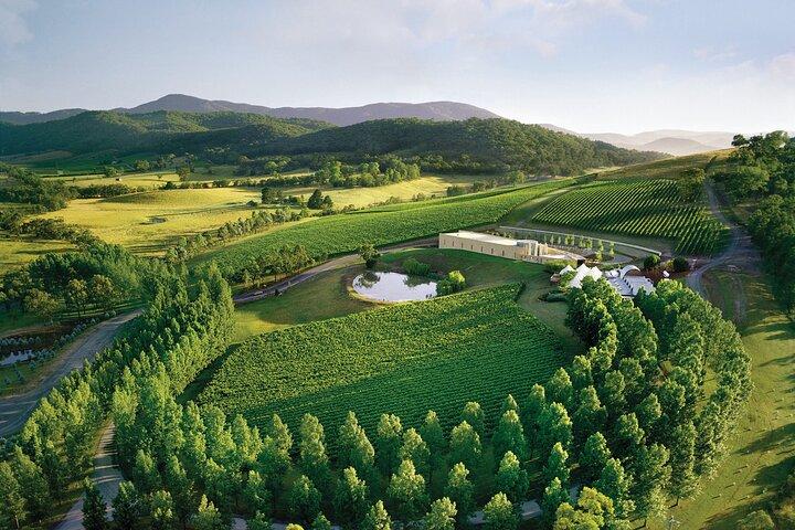 Visite privée d'une journée des vignobles de la vallée de Yarra