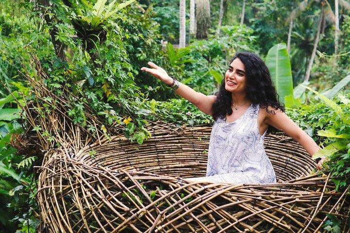Private Ubud Tour: Waterfall, Rice Terrace & Monkey Forest