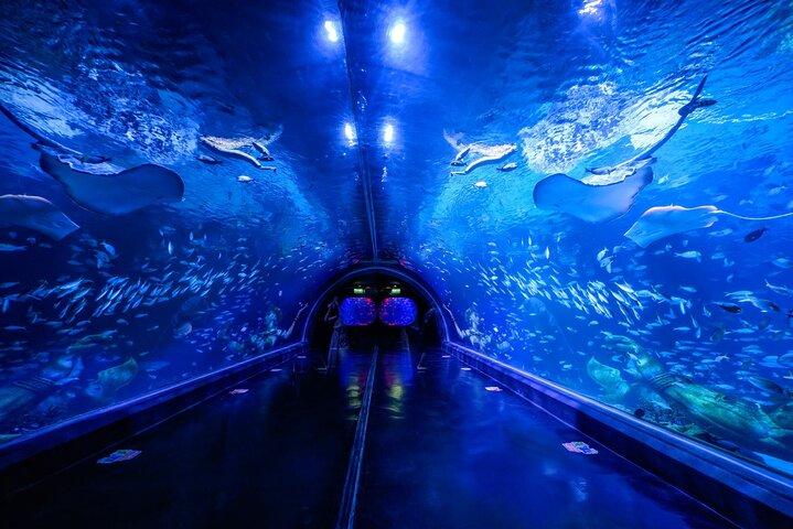 Aquarium Phuket (Nur Eintrittskarte)