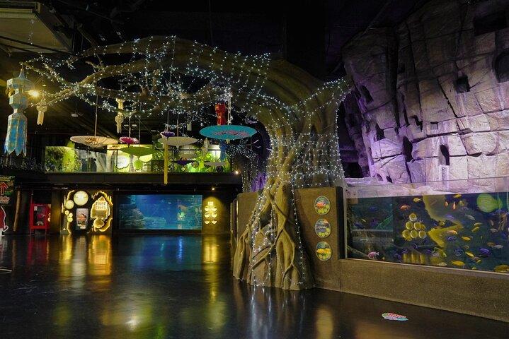 Aquarium Phuket (Nur Eintrittskarte)