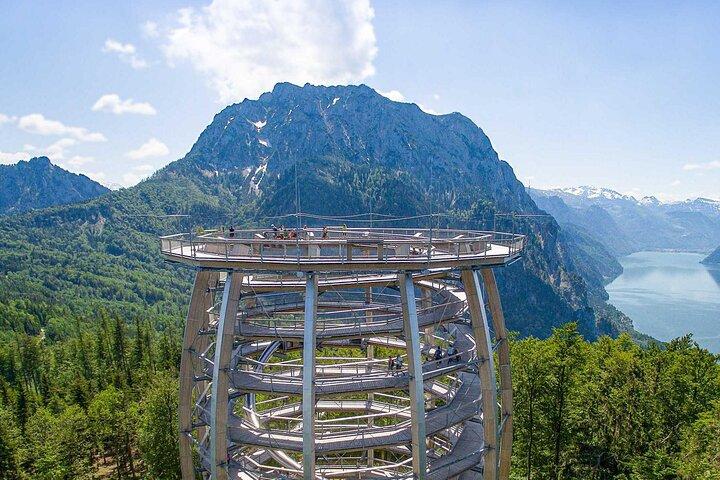 没入型プライベートツアー : Hallstatt After the Crowds & Treetop Path