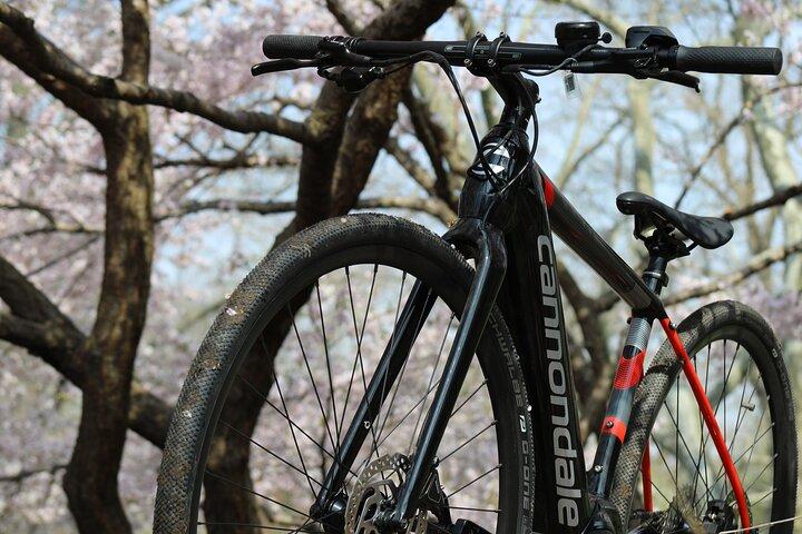 Alquiler de bicicletas eléctricas en Washington DC con casco y manillar para mayores de 16 años