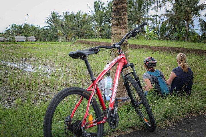 Radabenteuer auf Bali