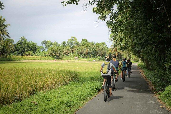 Radabenteuer auf Bali