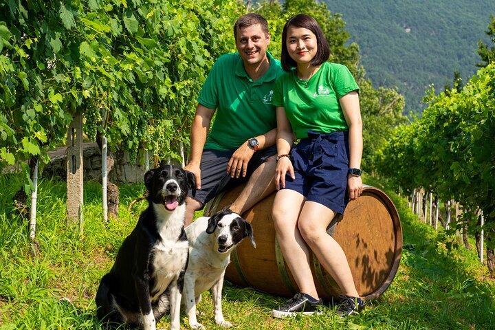 Savor Ossola Wines & Local Treats in a Scenic Vineyard