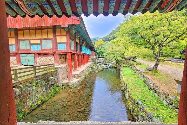 ソウル、釜山、順天発順天1日ツアー