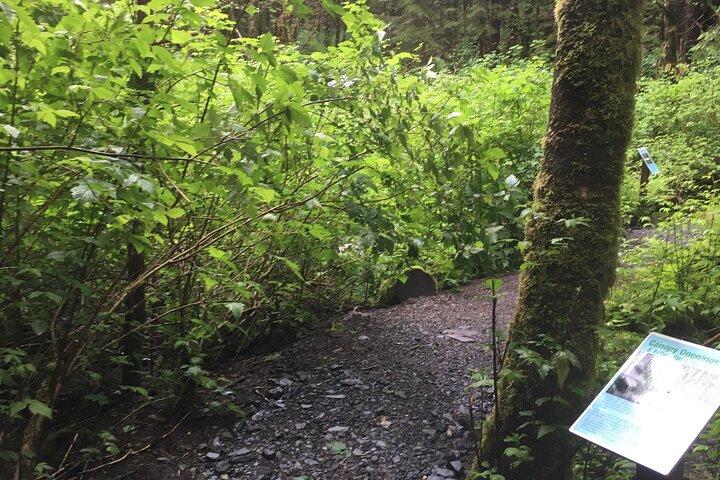 Aventuras de Bigfoot en Alaska