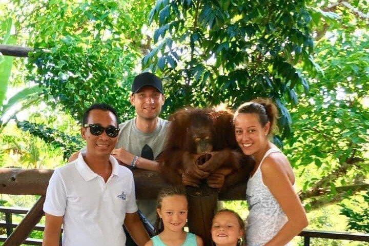 Things to do - Breakfast with Orang Utan