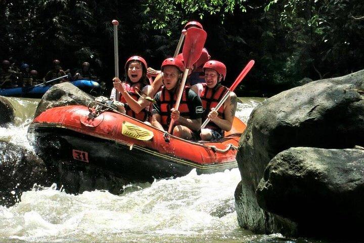 Visite d'Ubud et rafting en eaux vives à Bali
