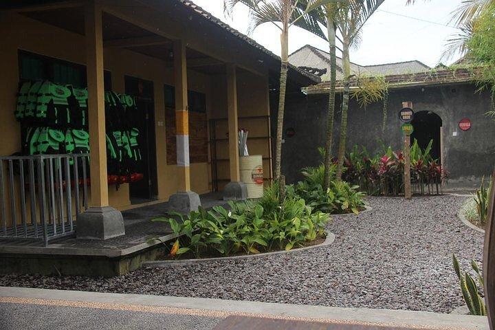 Visite d'Ubud et rafting en eaux vives à Bali