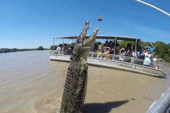 クロコ バスで有名なジャンピング クロコダイル クルーズへ