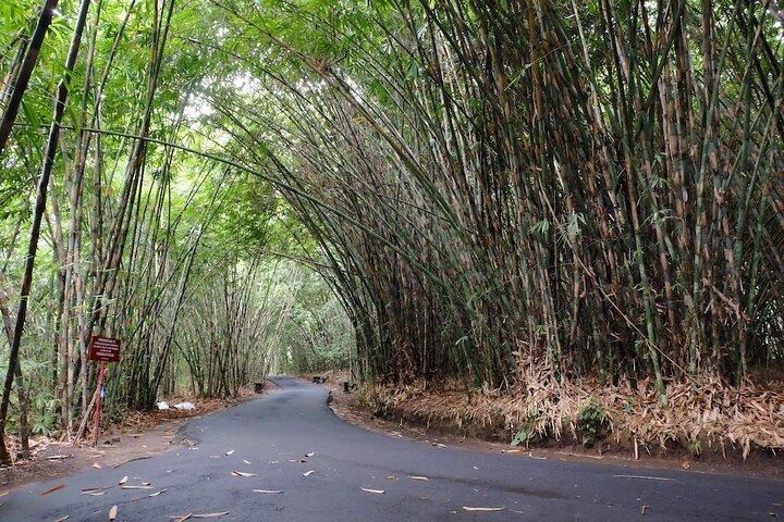 Trekking al vulcano Bali Swing Ubud e alla foresta di bambù