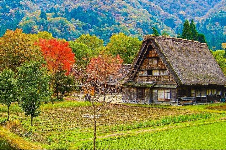 【Visite privée】 Shirakawa-go & Takayama 1 jour au départ de Nagoya