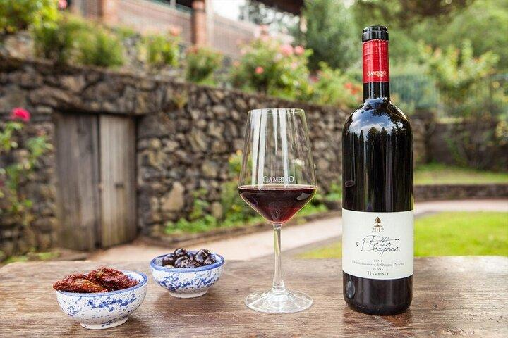 Privat og guidet tur på Etna med vinsmagning inkluderet
