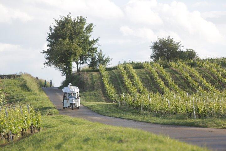 トゥクトゥクで行くジュネーブのパノラマ＆ブドウ園の試飲ツアー