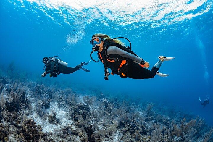 PADI Discover Scuba Diving
