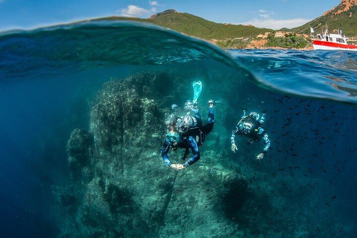 guided Scuba Diving on Tenerife (for certified divers)