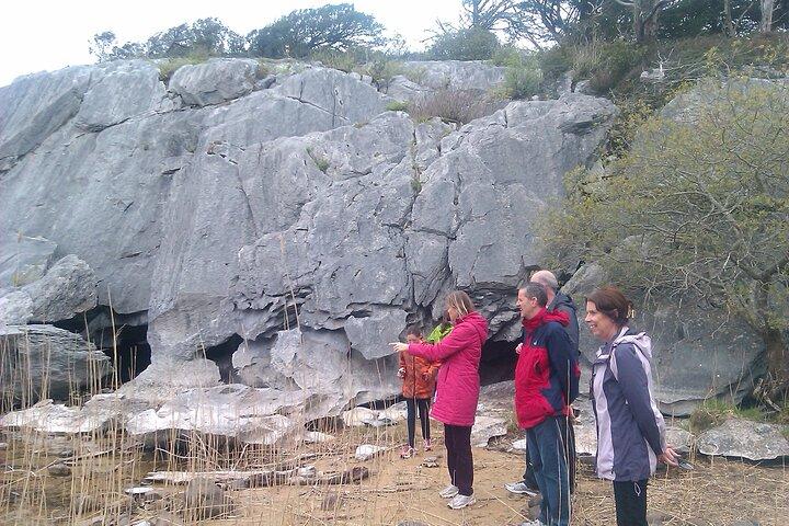 Guided Killarney National Park Walking Tour
