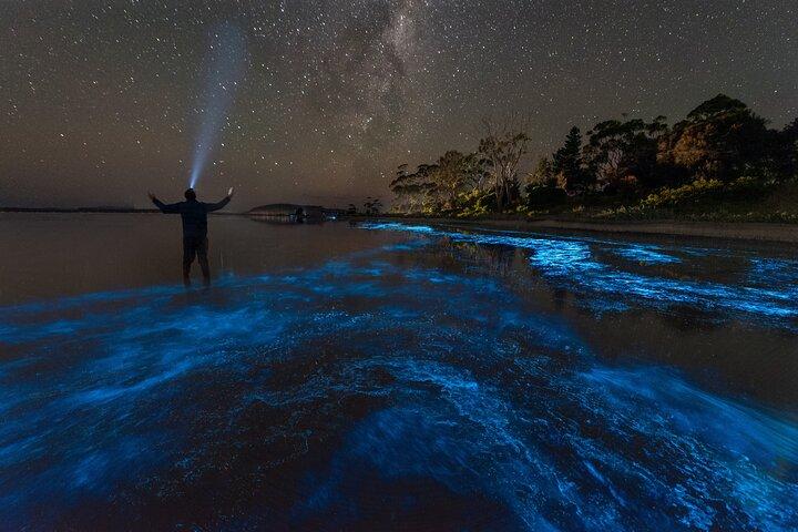 Florida Bioluminescent Kajak & Paddle Board Adventure
