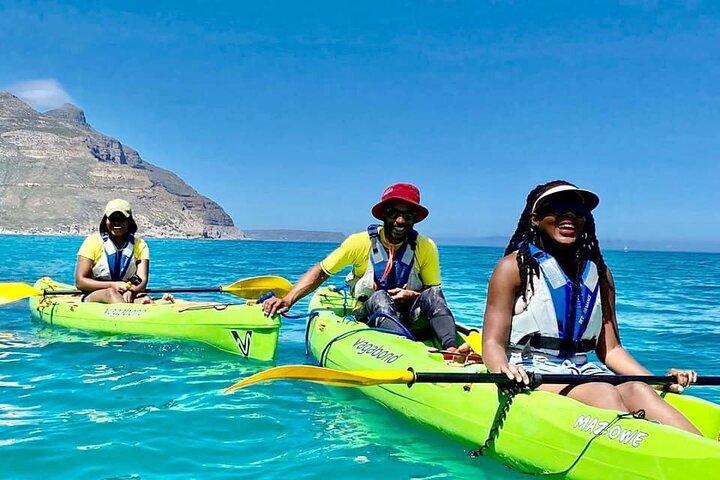 Guided Kayaking in Hout Bay