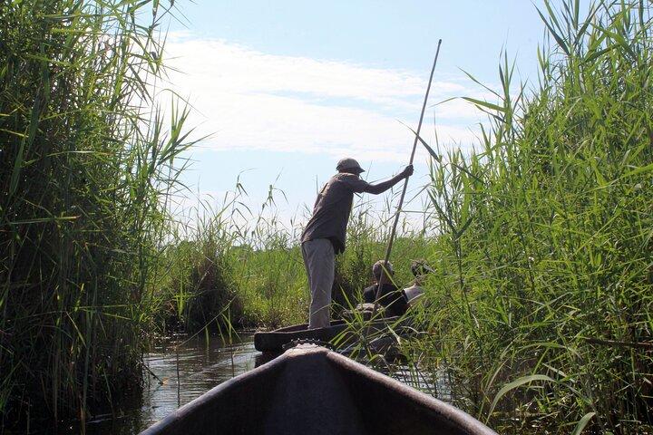 Delícia de 7 dias Moremi Okavango