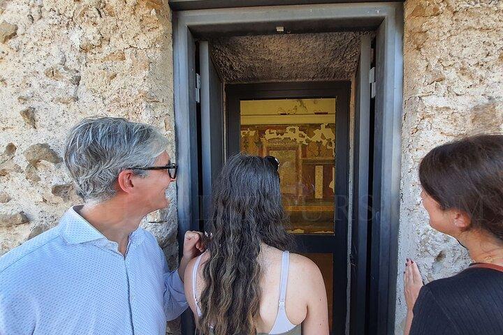 Casa de Augusto, Museo Palatino y Colina Palatina con PhD Arqueólogo