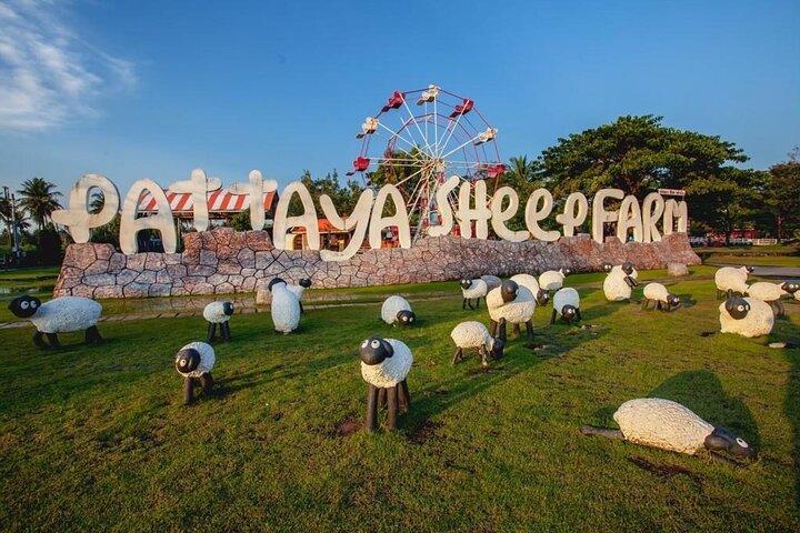 Billetter til Pattaya Sheep Farm